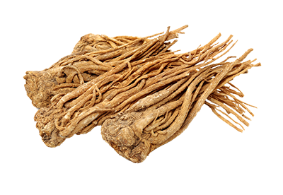 roots